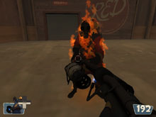 Team Fortress� Online Safaris with E.J. Gold