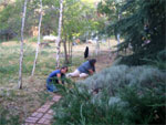 Working in the Waking State Workshop May 2007