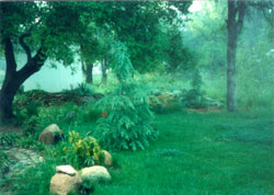 IDHHB's Zen Garden Sanctuary available to E.J. Gold and students for meditation and work exercises