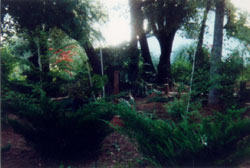 IDHHB's Zen Garden Sanctuary available to E.J. Gold and students for meditation and work exercises