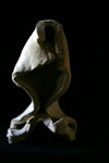 ..Spirit Guide #20.